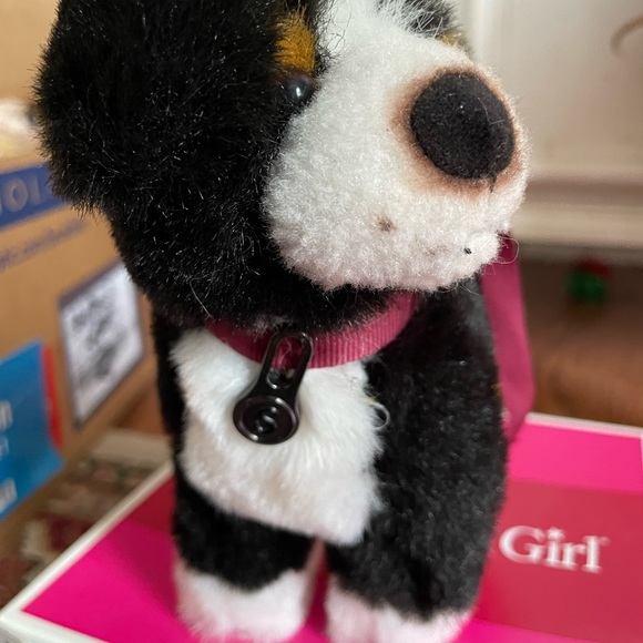 Nicki American girl doll girl of the year 2007 - Picture 13 of 14